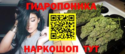 твердый Будённовск