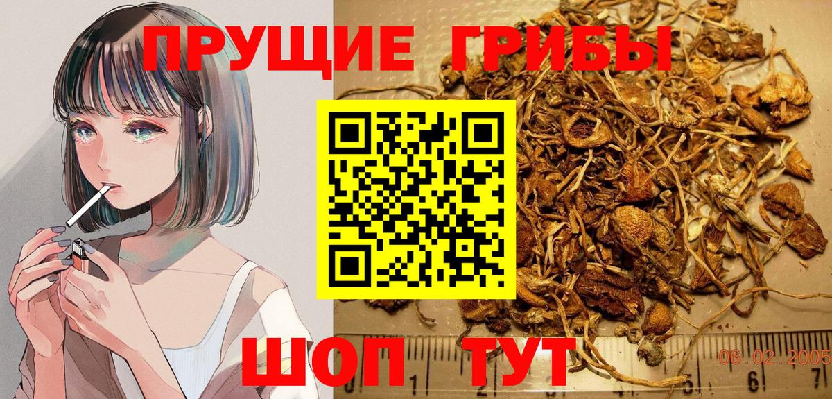 Галлюциногенные грибы MAGIC MUSHROOMS Можга