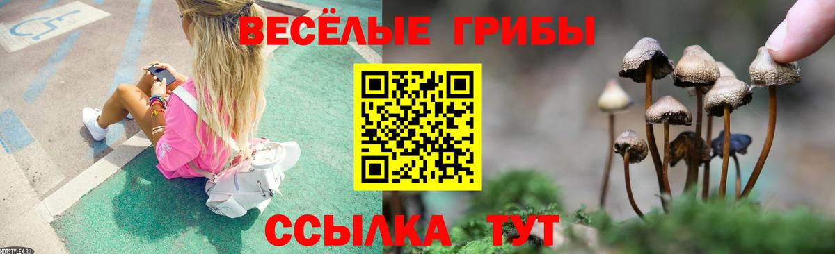 Псилоцибиновые грибы Psilocybine cubensis  Галлюциногенные грибы Magic Shrooms  Вход с VPN  Можга 